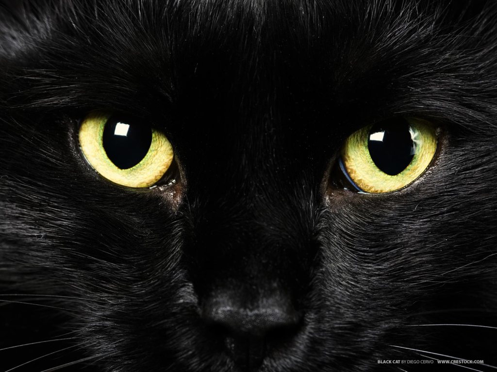 Supersticiones